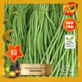 Village Markets Qatar offers 2021