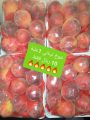 Al Gomla Mart Hypermarket Qatar offers 2020