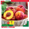 عروض سبار قطر 2020