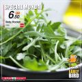 عروض سبار قطر  2020