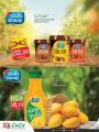LULU Hypermarket Qatar Offers 2023