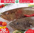 Spar Qatar Offers