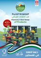 عروض سفاري هايبرماركت قطر 2023