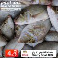 Ansar Gallery Qatar Offers 2019