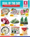 Safari Hypermarket Qatar offers