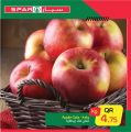 Spar qatar offers 2020