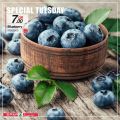 SPAR Qatar Offers  2020