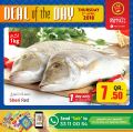 Quality Retail Qatar Offers