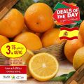 Village Markets Qatar Offers 2022