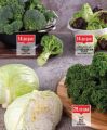 Monoprix Qatar Offers 2022