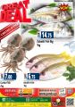 Panda Hypermarket Qatar Offers  2020