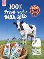 عروض سفارى هايبر ماركت قطر