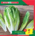 SPAR Qatar Offers  2020
