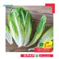 عروض  سبار قطر  2020