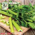 SPAR Qatar Offers  2020