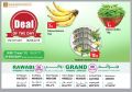 عروض  الروابى جروب قطر 2019
