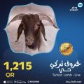 Widam Qatar offers 2021