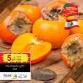 Village Markets Qatar Offers 2021