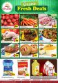 Grand Mall Qatar Offers