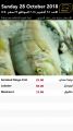 عروض مسكر هايبر ماركت قطر