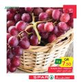 عروض سبار قطر 2020