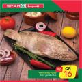 Spar Hypermarket Qatar offers 2021