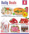 عروض سفارى هايبر ماركت قطر