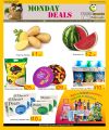 Panda Hypermarket Qatar offers 2019
