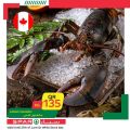 SPAR Qatar Offers  2020