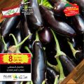 Village Markets Qatar Offers 2021