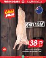 عروض سبار هايبر ماركت قطر 2025