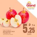 Grand Hypermarket Qatar offers 2022