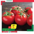 SPAR Qatar Offers  2020