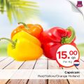 Family Food Center qatar offers 2020
