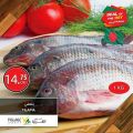 Village Markets Qatar Offers 2021