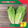 SPAR Qatar Offers  2020