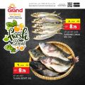 Grand Hypermarket Qatar offers 2023