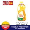 عروض انصار جاليرى قطر