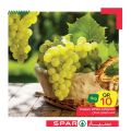 عروض سبار قطر 2020