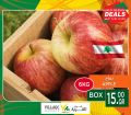 Village markets qatar offers 2020