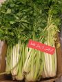 Al Gomla Mart Hypermarket Qatar offers 2020