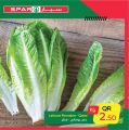 Spar hypermarket qatar offers 2021