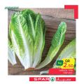 SPAR Qatar Offers  2020