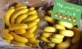 Al Gomla Mart Hypermarket Qatar offers 2020