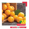 SPAR Qatar Offers  2020