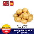 عروض انصار جاليرى قطر