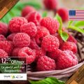 Village Markets Qatar Offers 2020