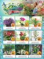 Safari Hypermarket Qatar Offers 2020