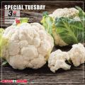 SPAR Qatar Offers  2020