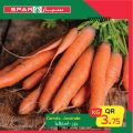SPAR Qatar Offers  2020